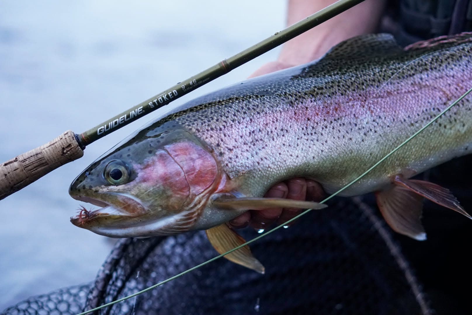 Fly Fishing — Taupō & Tongariro, Central North Island photo 2
