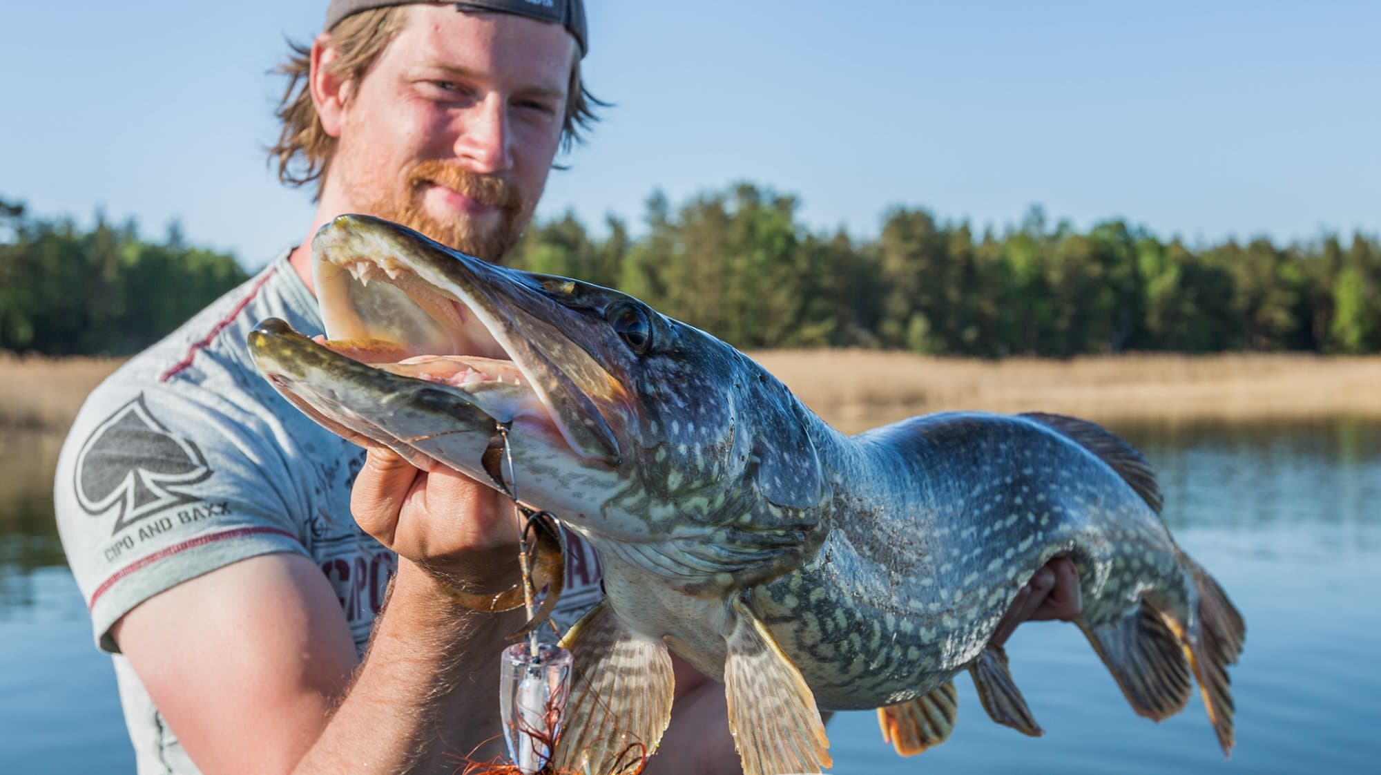 Fishing for Zander, Perch and Pike around Alingsås, near Gothenburg