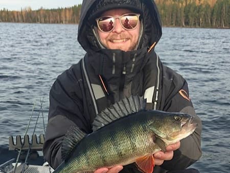 Perch
