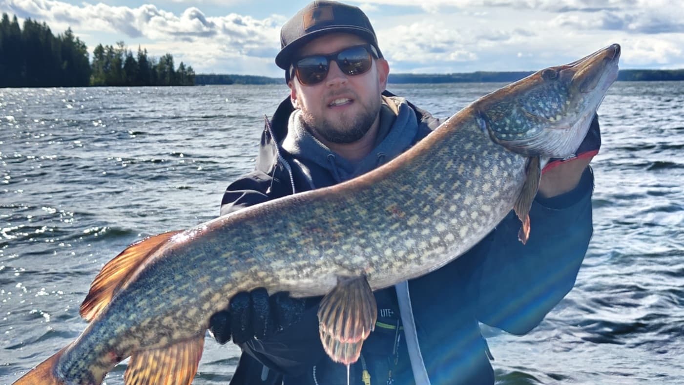 Pike fishing. Excitement and strong strikes