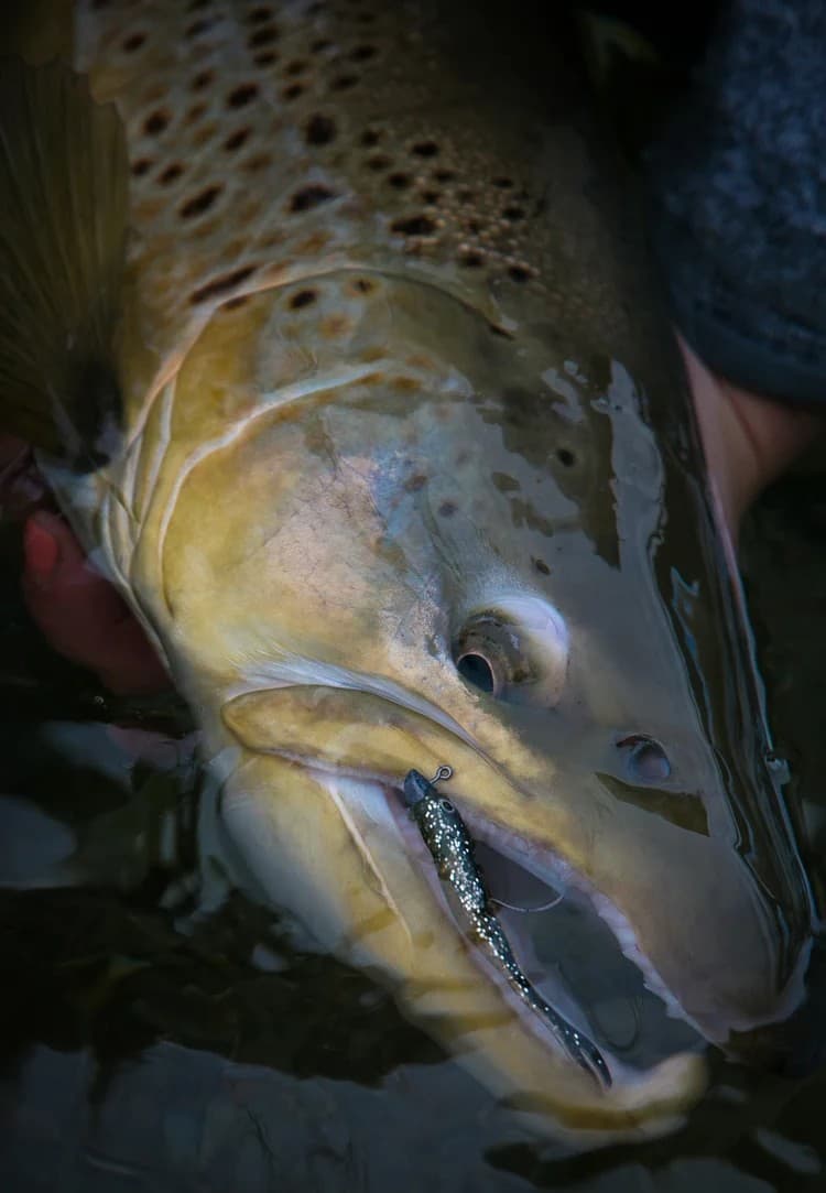 Fly Fishing - South Island, New Zealand