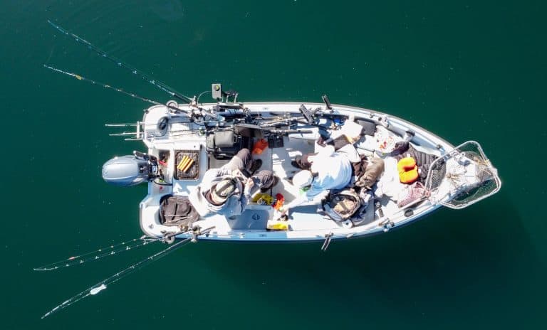 Southern Sweden Expeditions: Guided Sport Fishing on Lakes and Coasts