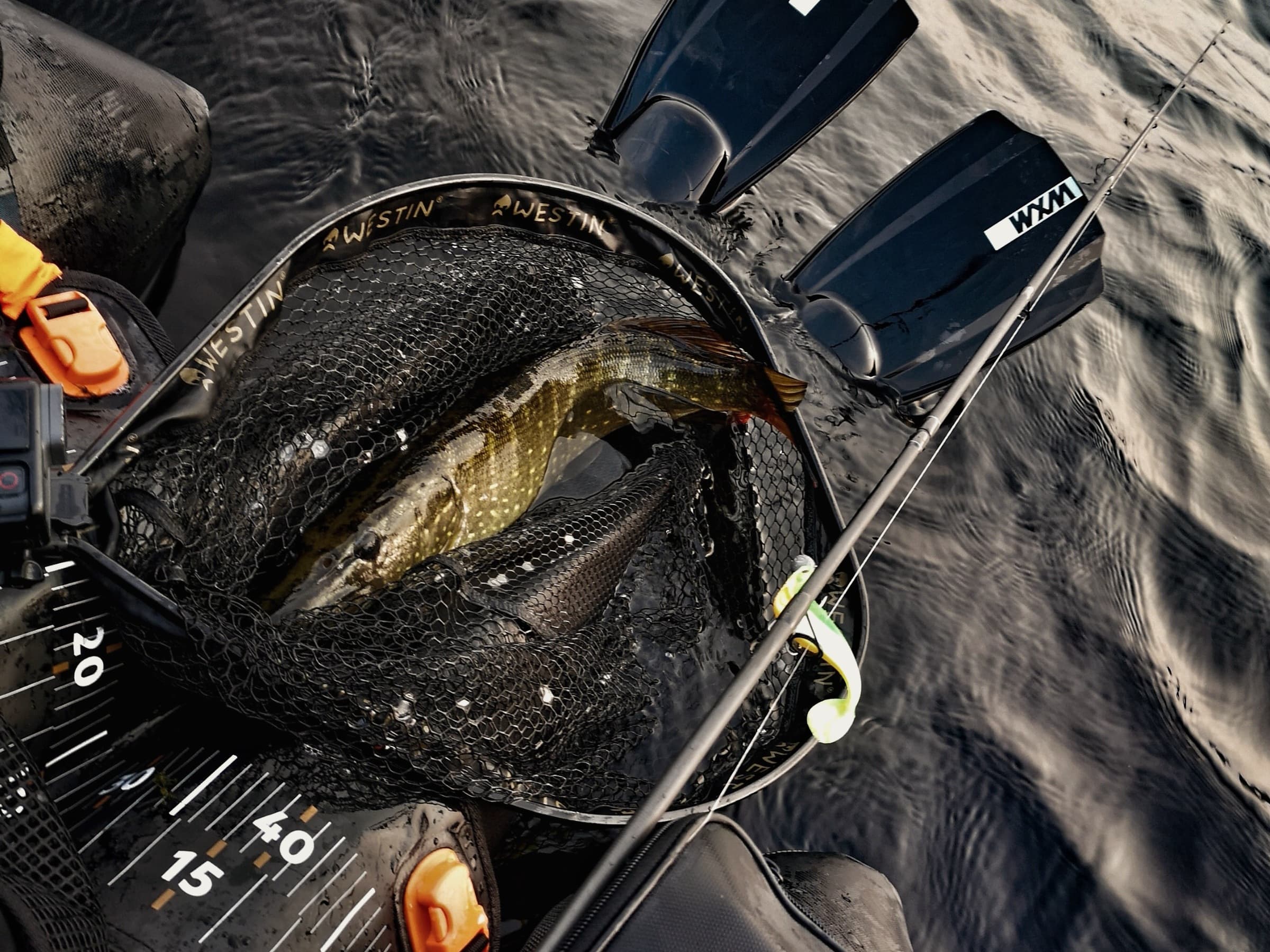 Freshwater Setup & Belly Boats