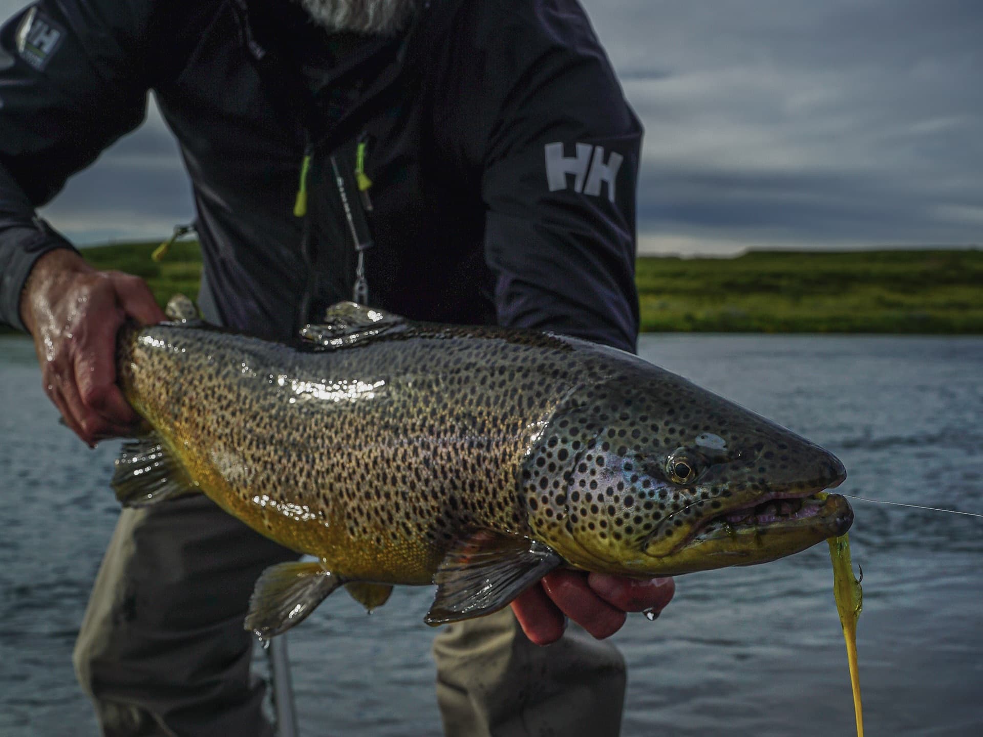 The Icelandic Angler’s Journey: Tailored River & Lake Expeditions photo 1