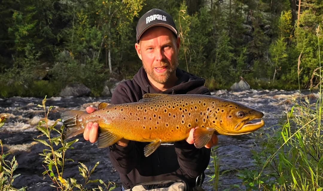 Chasing Giants: Premium Trophy Trout Expeditions on the Mistra River