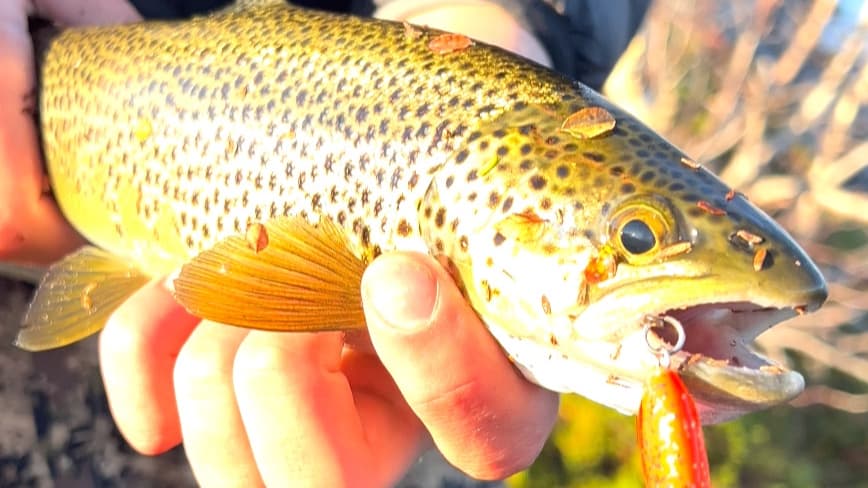 Edge of the Arctic: Extreme Wild Fishing Expeditions in Far North Norway photo 2