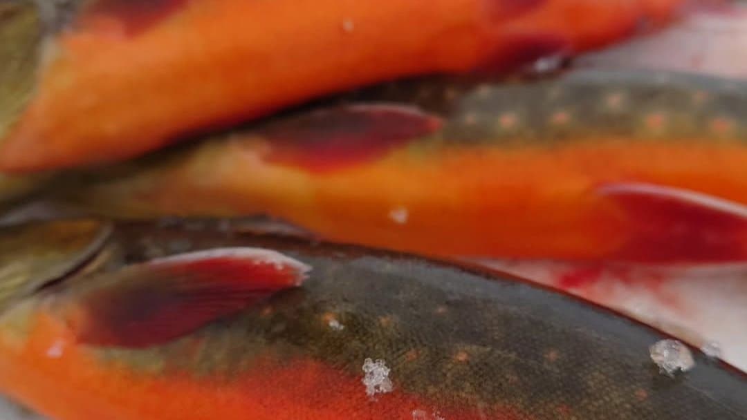 Mikael Bergh — Sweden