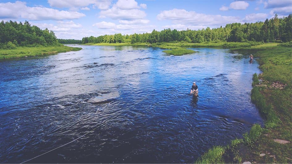 Arctic Wilderness Chronicles: Wild River & Lake Fishing in Finnish Lapland