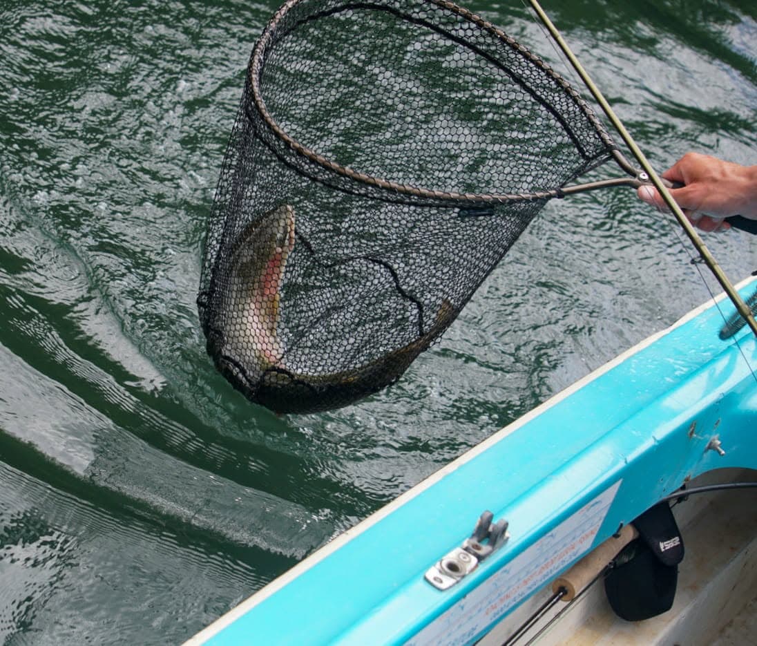 Fly Fishing — Taupō & Tongariro, Central North Island photo 4
