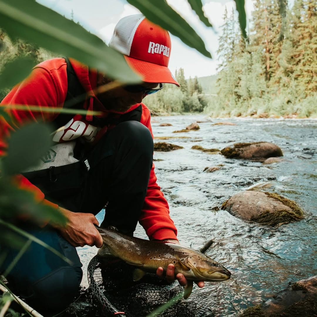 Chasing Giants: Premium Trophy Trout Expeditions on the Mistra River photo 6