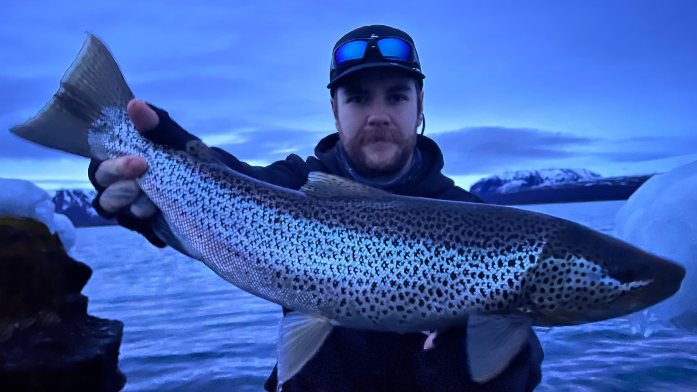 Brown Trout, Arctic Char, Salmon, Seatrout