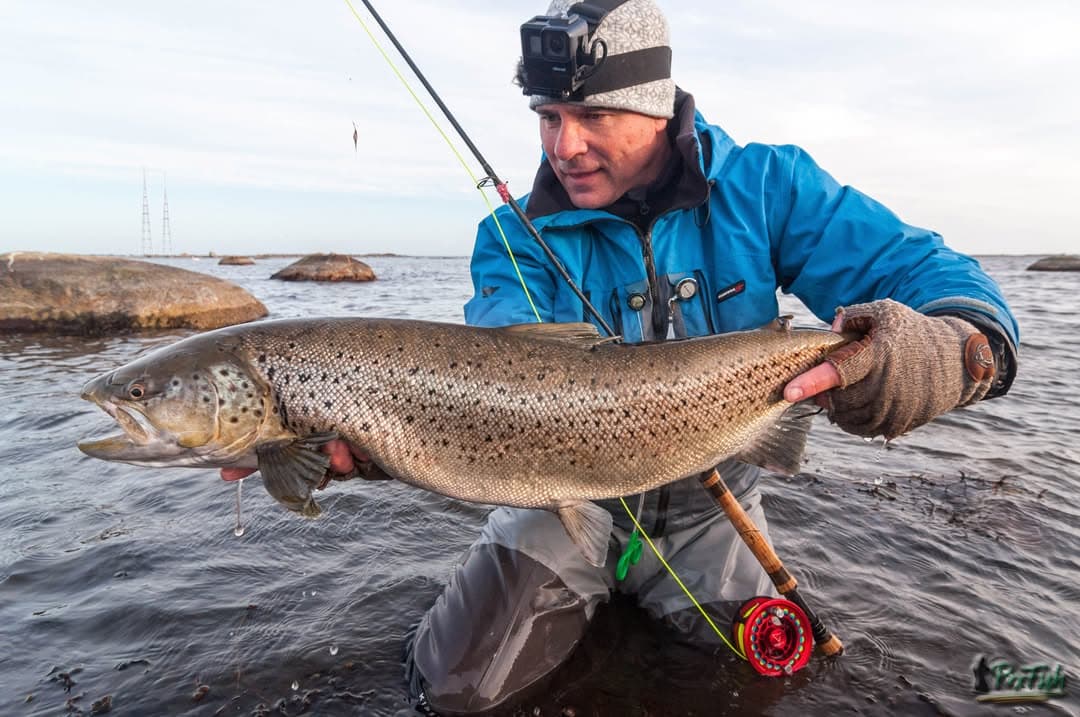 Southern Sweden Expeditions: Guided Sport Fishing on Lakes and Coasts photo 1