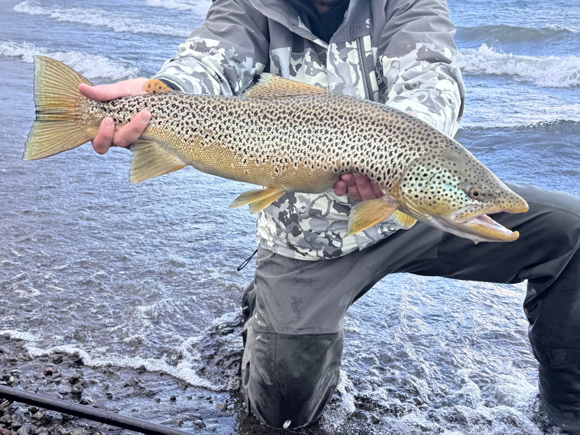 Silver & Shadows: Specialized Fly Fishing and Sight Casting in Iceland photo 3