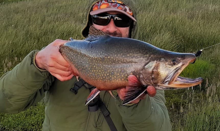 Brook Trout