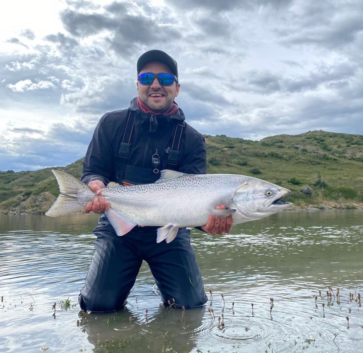 Chinook Salmon