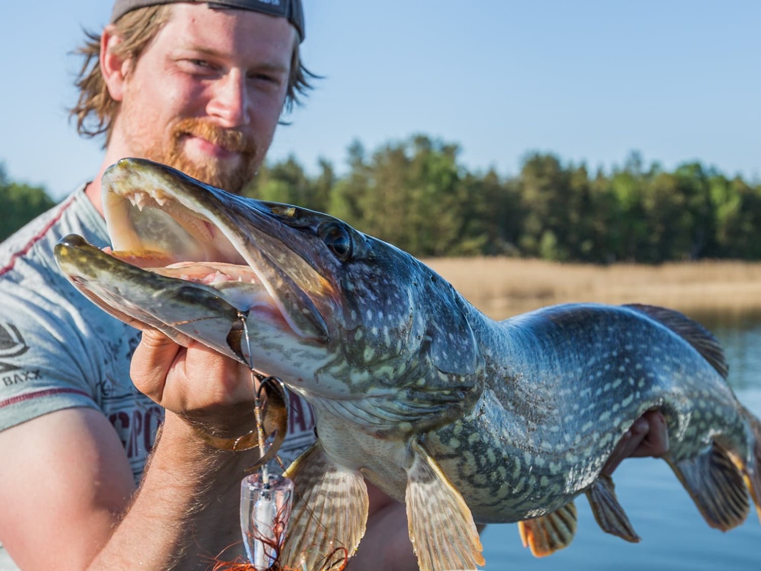 Pike