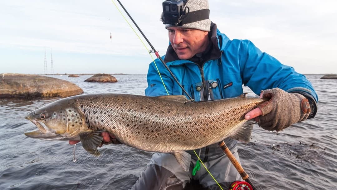 Guided fishing tours