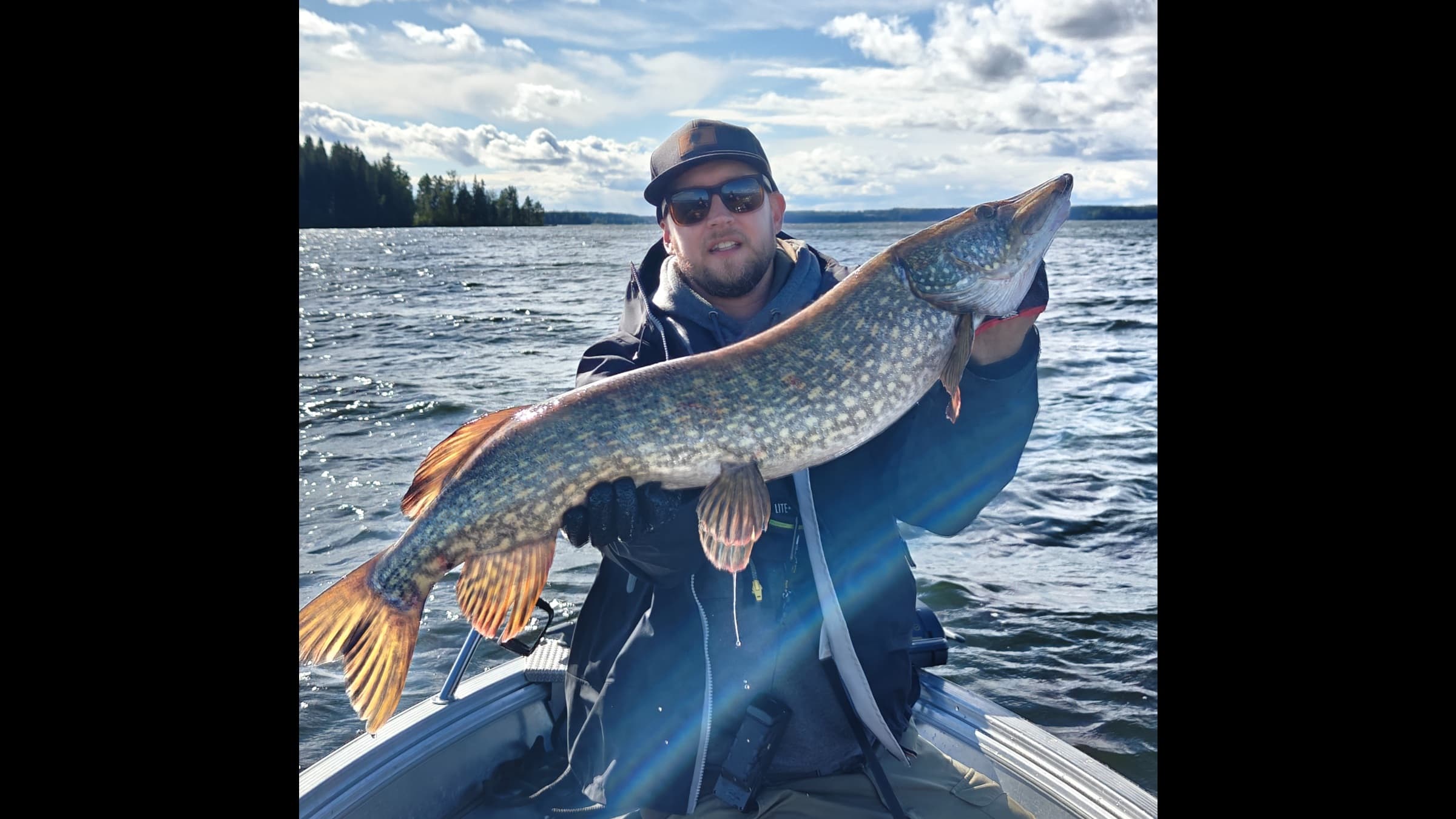 Pike fishing. Excitement and strong strikes