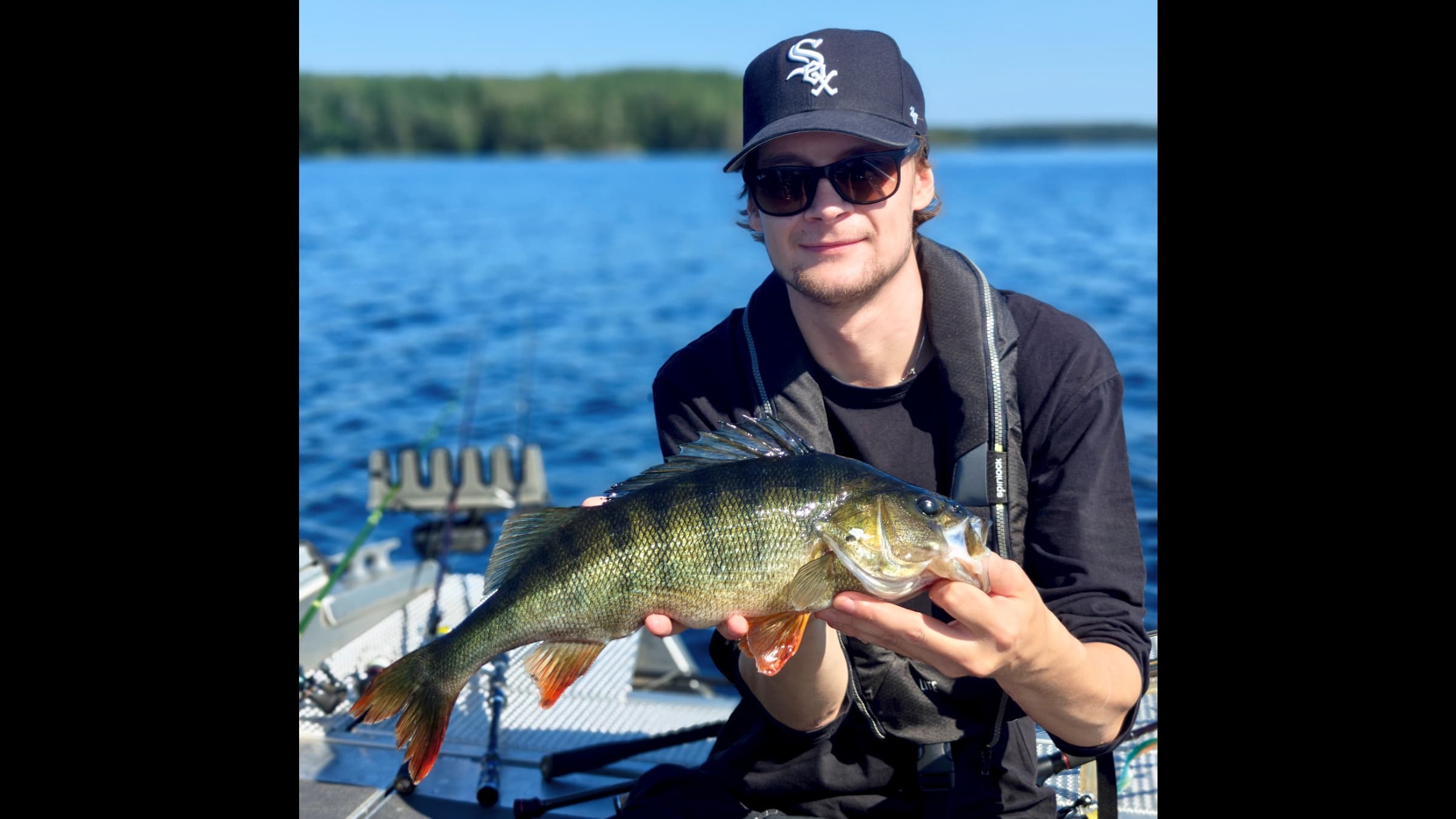 Perch fishing on Saimaa Lake