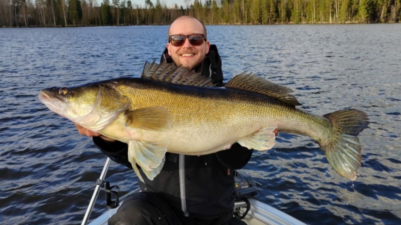 Live sonar fishing; Live from beneath the surface